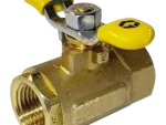 Graco 110223 brass bleed-type air shutoff valve with 1/4-inch NPT female connections.